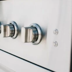 American Made Grills Encore 54-Inch 8-Burner Built-In Multi Fuel Wood / Charcoal / Natural Gas Grill -Kitchen BBQ Sale American Made Grills Multi Fuel Wood Charcoal Gas Grill KnobLiftestyle