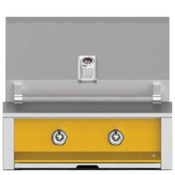 Aspire By Hestan 30-Inch 2-Burner Built-In Natural Gas Grill - Sol