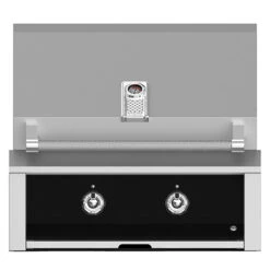 Aspire By Hestan 30-Inch 2-Burner Built-In Natural Gas Grill With Infrared Sear Burner - Stealth