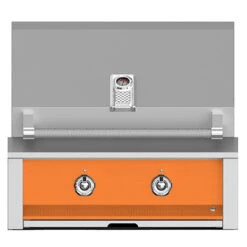 Aspire By Hestan 30-Inch 2-Burner Built-In Propane Gas Grill With Infrared Sear Burner - Citra