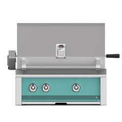 Aspire By Hestan 30-Inch 2-Burner Built-In Propane Gas Grill With Infrared Rotisserie Burner - Bora Bora