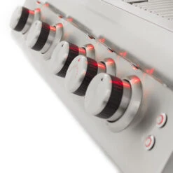 Blaze Grills LTE 32-Inch 4-Burner Built-In Natural Gas Grill With Rear Infrared Burner & Grill Lights -Kitchen BBQ Sale Blaze Grills LTE 32 Inch 4 Burner Built In Natural Gas Grill BLZ 4LTE2 NG Control Panel