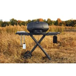 Napoleon Phantom TravelQ PRO 285 Portable Gas Grill With Scissor Cart 20 Napoleon Phantom TravelQ PRO 285 Portable Gas Grill With Scissor Cart -Kitchen BBQ Sale Low Res JPG PRO285X PHM Life 2