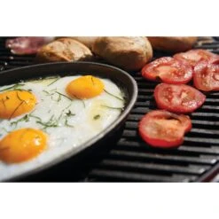 Napoleon TravelQ 2225 Portable Propane Gas Grill - Orange 21 Napoleon TravelQ 2225 Portable Propane Gas Grill - Orange -Kitchen BBQ Sale Low Res JPG TQ2225 lifestyle 09