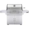 Napoleon Professional Freestanding Charcoal Grill 2 Napoleon Professional Freestanding Charcoal Grill -Kitchen BBQ Sale Napoleon Charcoal Professional