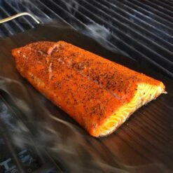 TEC Grills Sterling Patio FR 26-Inch Built-In Infrared Natural Gas Grill 13 TEC Grills Sterling Patio FR 26-Inch Built-In Infrared Natural Gas Grill -Kitchen BBQ Sale TEC Patio FR 26 inch Built in Grill salmon 1