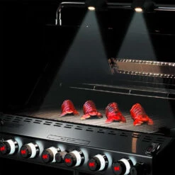 Weber Grills Summit Grill Center Natural Gas Grill With Rotisserie, Sear Burner, And Side Burner - Stainless Steel -Kitchen BBQ Sale Weber Grills Summit Grill Center Natural Gas Grill with Rotisserie Sear Burner and Side Burner Black 291101 Grill Lights